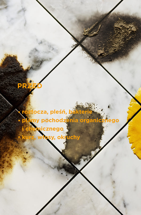 Przed renowacją